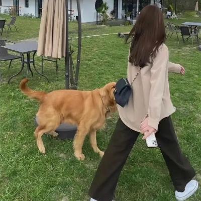 我爱你姜九
